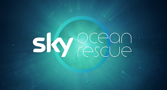Sky Ocean Rescue