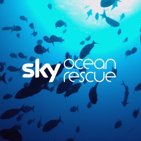 Sky Ocean Rescue